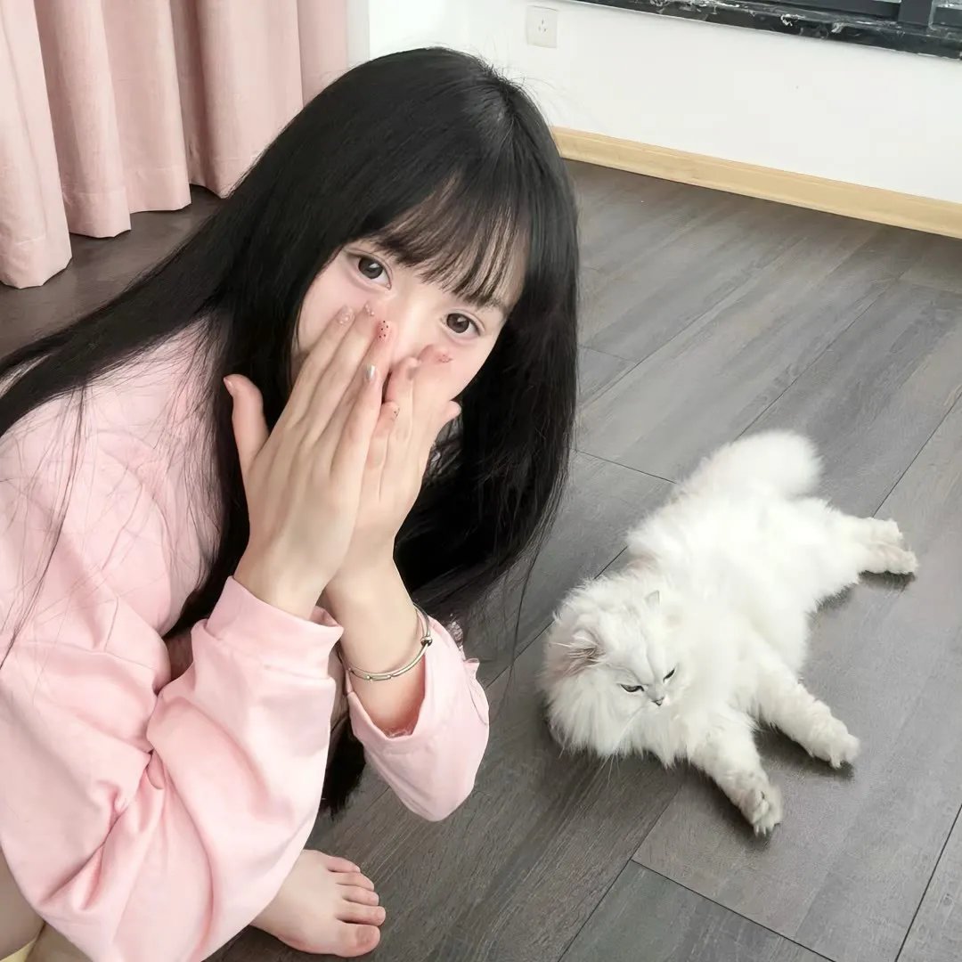 穿越古代干倭寇